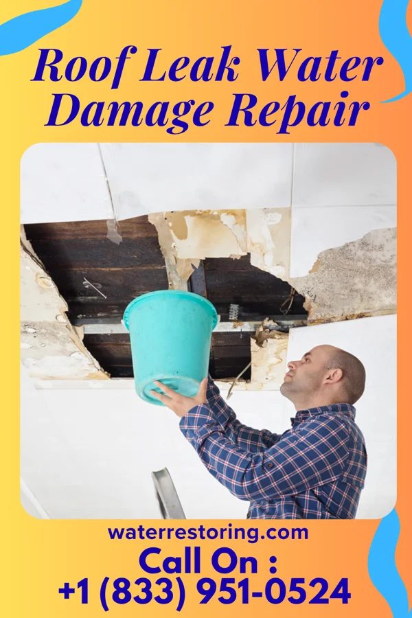 Roof Leak Water Damage Repair in Vandalia, IL
